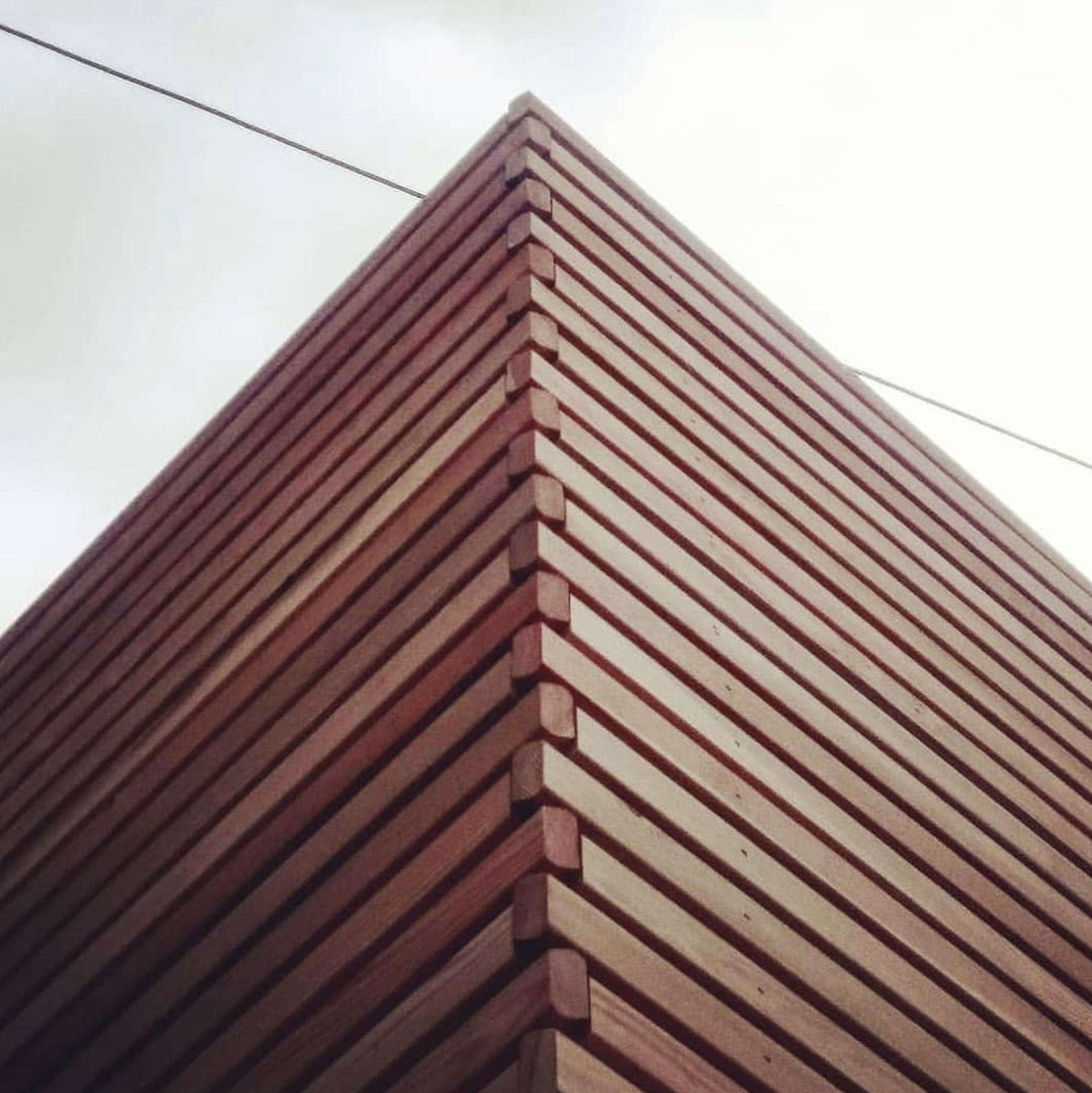 larch clad house extension